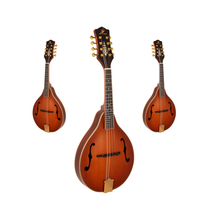 Musical Instrument Mandolin - Hot Sale Klassiek 8-snaren muziekinstrument Matte