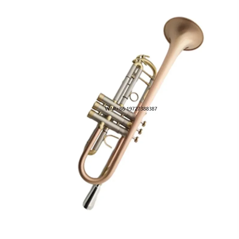 Musical Instrument Manufacturers - De fabrikant verkoopt kleine muziekinstrumenten in