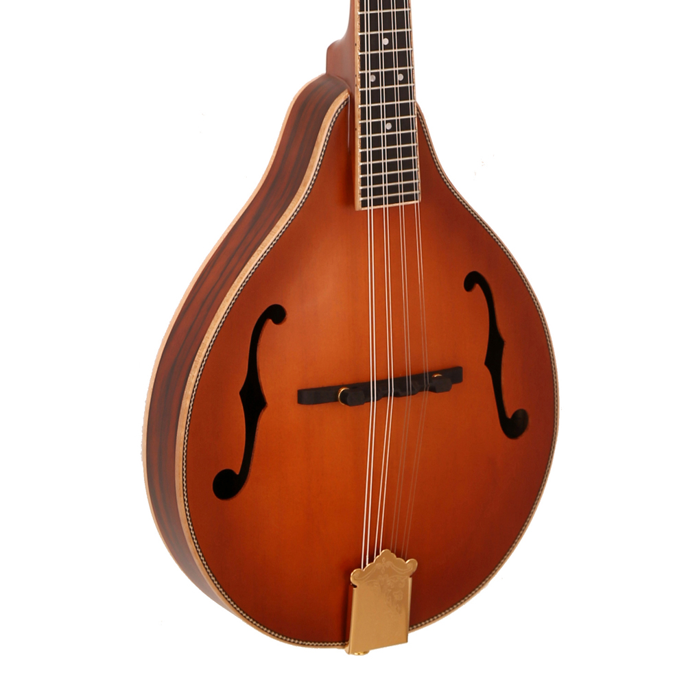 Hot Sale Klassiek 8-snaren muz - Musical Instrument Mandolin recensie en prijs
