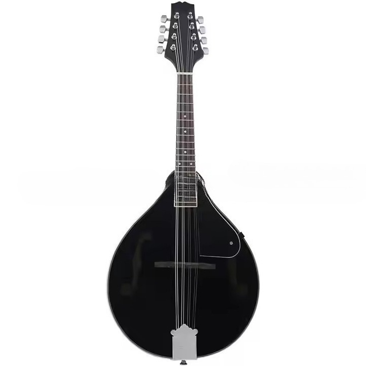 Tibetaans etnisch muziekinstru - Musical Instrument Mandolin recensie en prijs