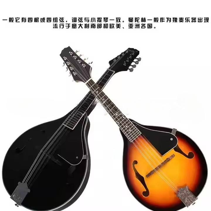 Tibetaans etnisch muziekinstru - Musical Instrument Mandolin recensie en prijs