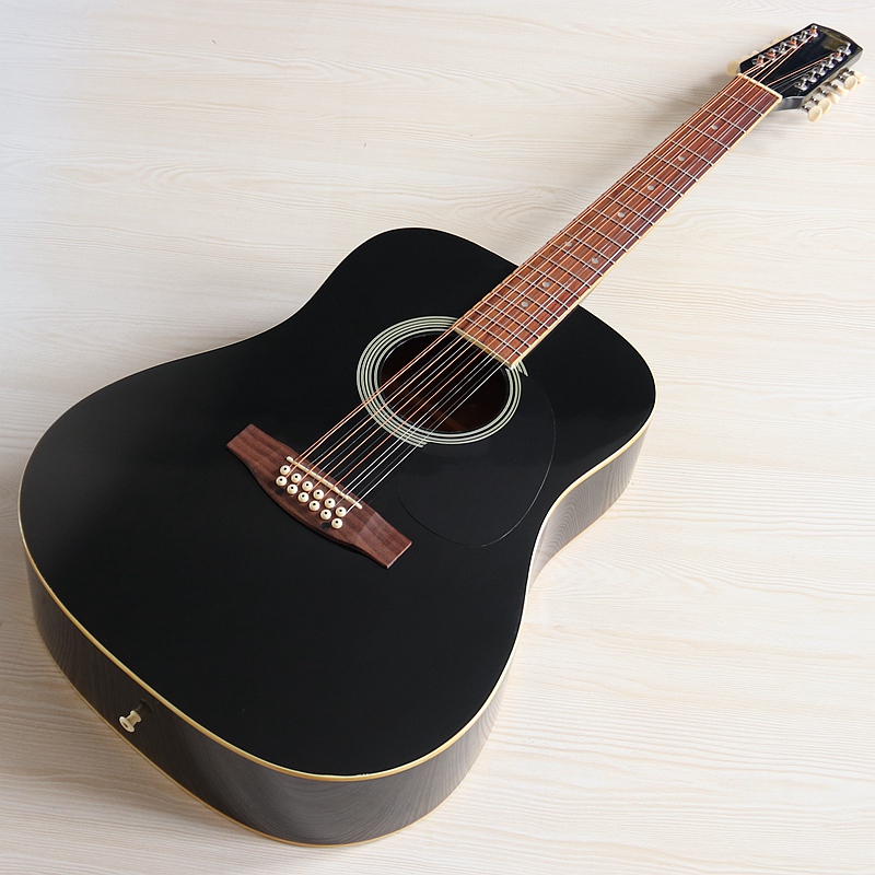 12-snarige elektro-akoestische - Dobro Resonator Guitar recensie en prijs