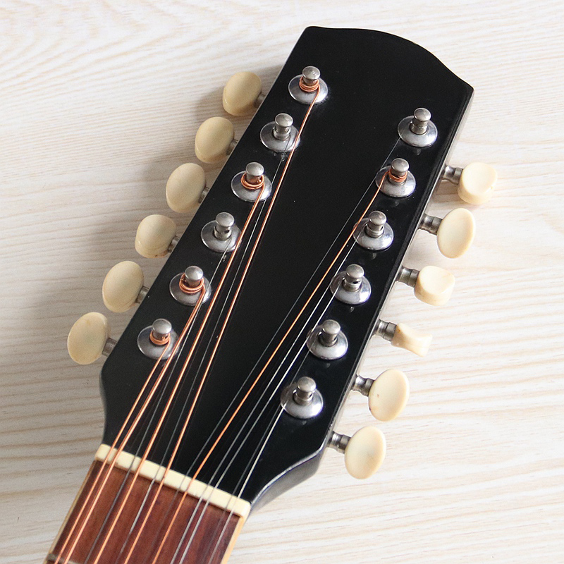 12-snarige elektro-akoestische - Dobro Resonator Guitar recensie en prijs