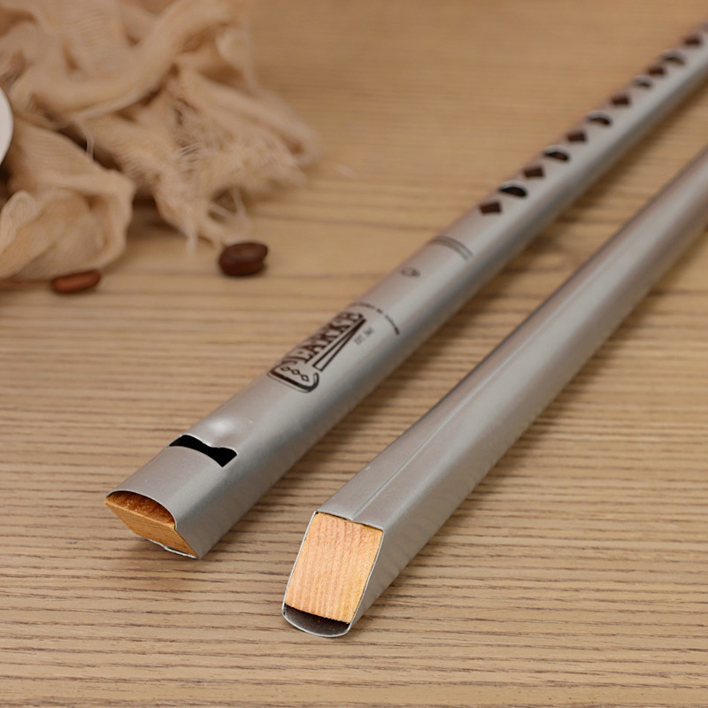 Traditionele Clarke Fluit Zilv - Musical Instrument Pipe recensie en prijs